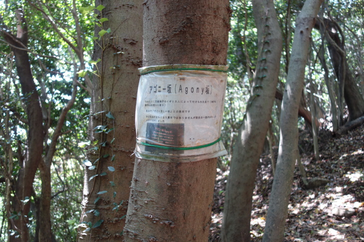 d0345153_17593091.jpg