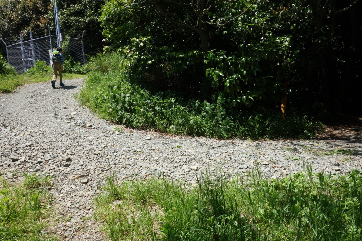 高塔山・石峯山・弥勒山・白山縦走(北九州市若松区)_d0345153_18002454.jpg