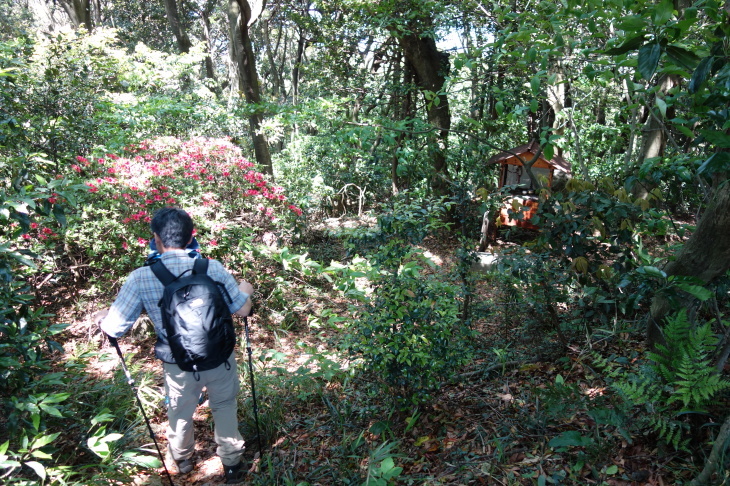 高塔山・石峯山・弥勒山・白山縦走②(北九州市若松区)_d0345153_18021839.jpg