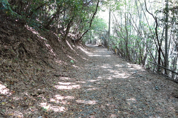 d0345153_18025996.jpg