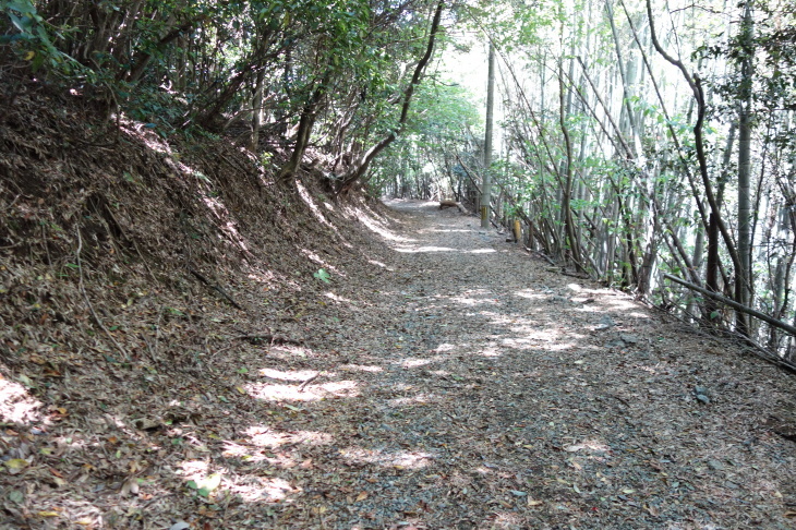 高塔山・石峯山・弥勒山・白山縦走②(北九州市若松区)_d0345153_18025996.jpg