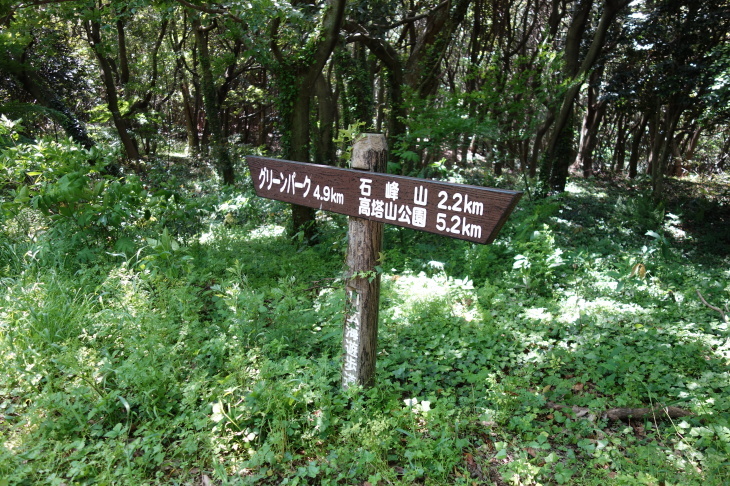 高塔山・石峯山・弥勒山・白山縦走②(北九州市若松区)_d0345153_18054166.jpg