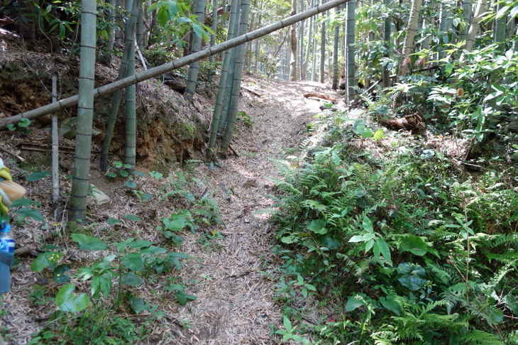 高塔山・石峯山・弥勒山・白山縦走②(北九州市若松区)_d0345153_18064263.jpg