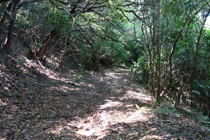 高塔山・石峯山・弥勒山・白山縦走②(北九州市若松区)_d0345153_18080782.jpg