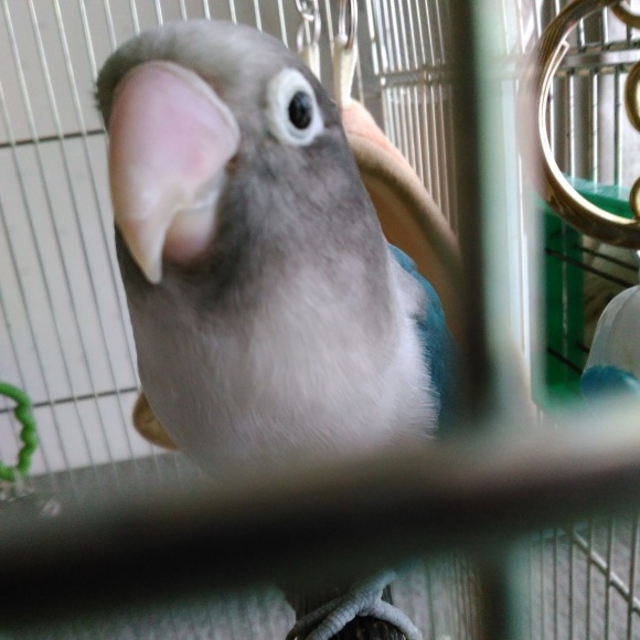 d0159155_17364009.jpg
