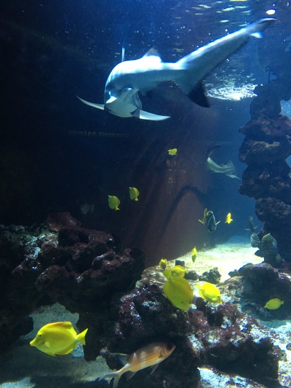 b0216960_15260450.jpg