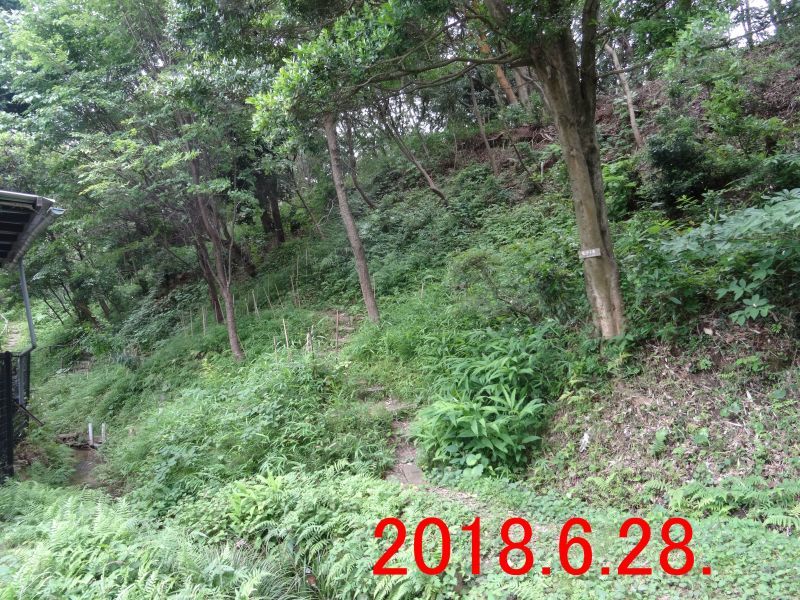 c0108460_16375294.jpg
