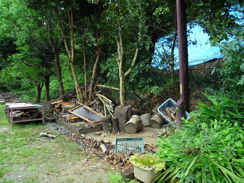 c0108460_17015862.jpg