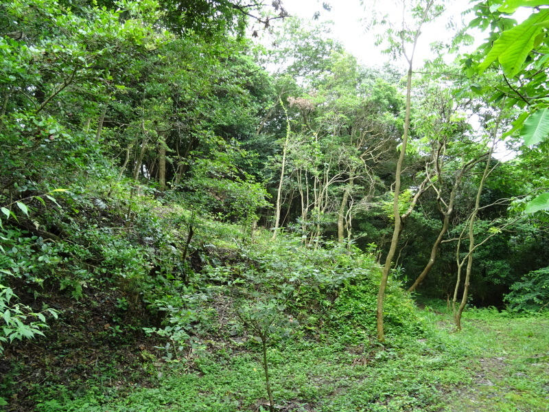 c0108460_17084442.jpg