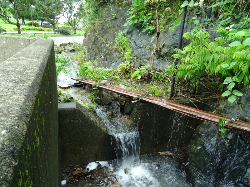 c0108460_17123530.jpg