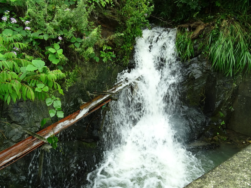 c0108460_17123672.jpg