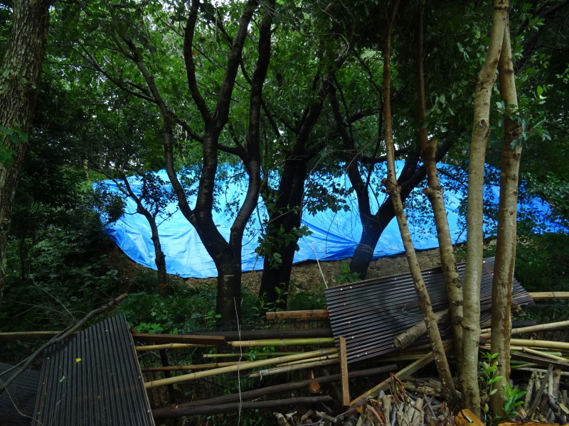 c0108460_17143159.jpg