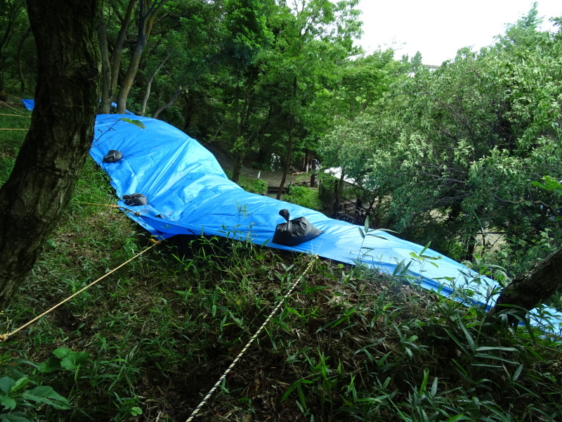 c0108460_17143241.jpg