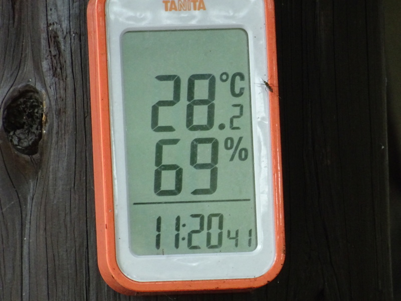 c0108460_17214637.jpg