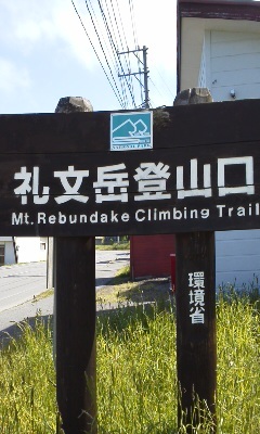 礼文岳帰りのリル_d0389370_23303955.jpg