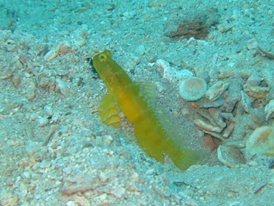 b0033573_21134248.jpg