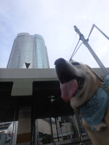 f0052277_13110656.jpg