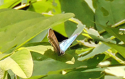 f0083977_21462878.jpg