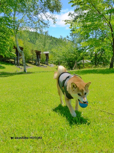 f0150377_20530836.jpg