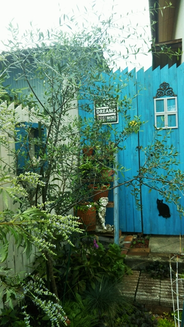 f0366679_15193726.jpg