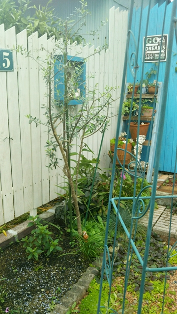 f0366679_15213969.jpg