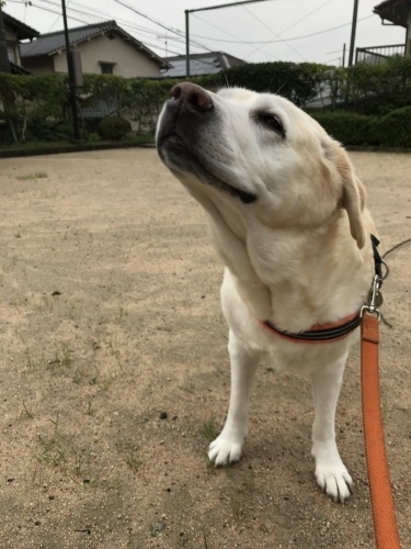 f0315081_17561113.jpeg