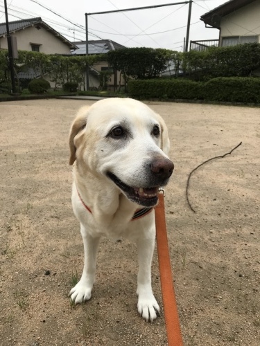 f0315081_17563430.jpeg