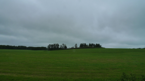 c0212083_18280500.jpg