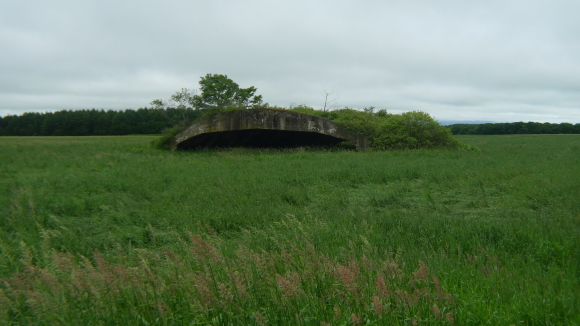 c0212083_18282119.jpg