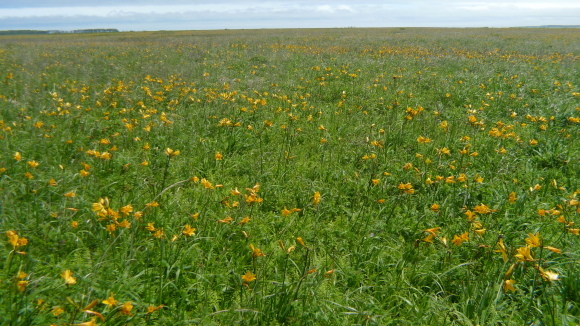c0212083_18285914.jpg