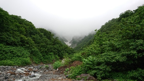 d0147789_20201524.jpg