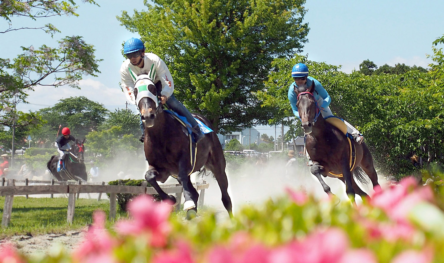 いなべ草競馬_e0254493_122745.jpg