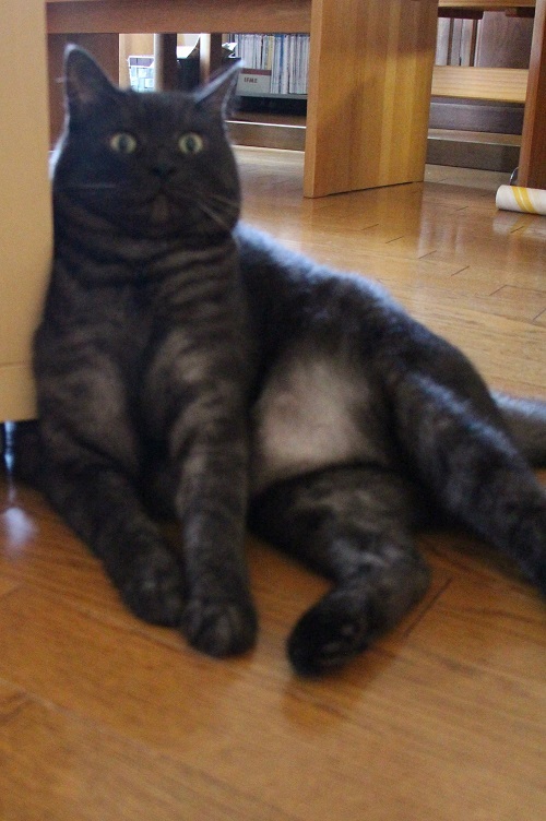 えっ?_a0333195_08320270.jpg