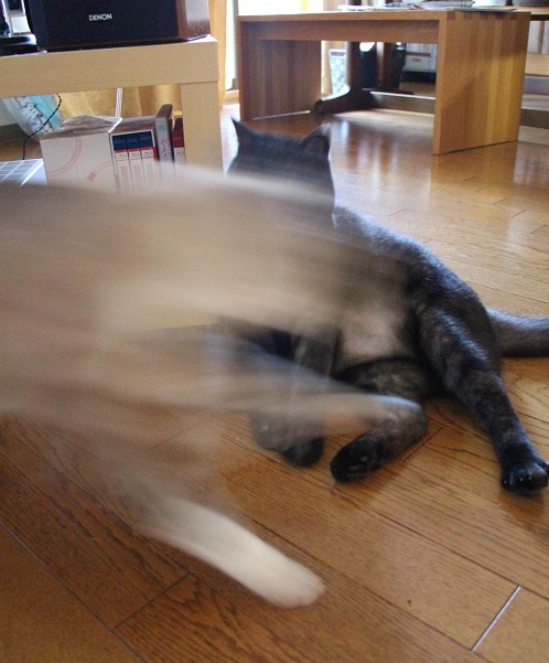 えっ?_a0333195_08323059.jpg