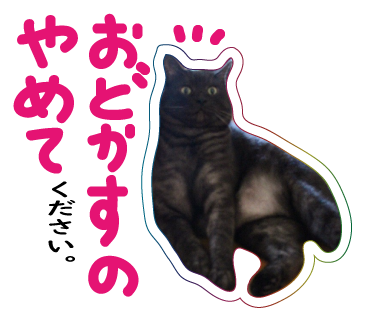 えっ?_a0333195_08583583.png