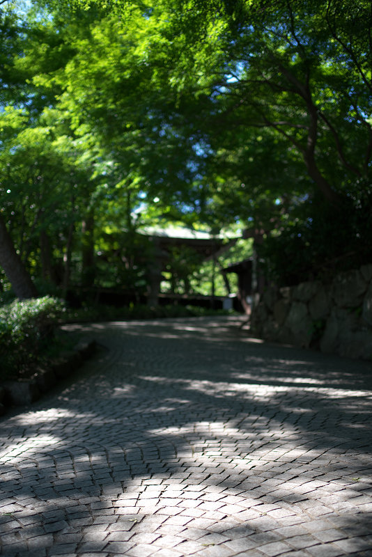 e0260795_08412724.jpg