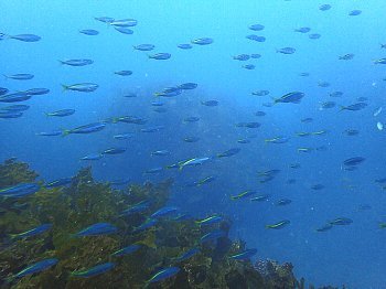 f0079996_15325793.jpg
