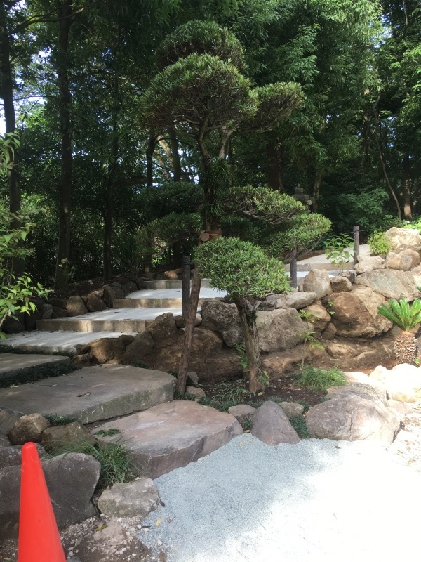 b0275998_17355773.jpeg