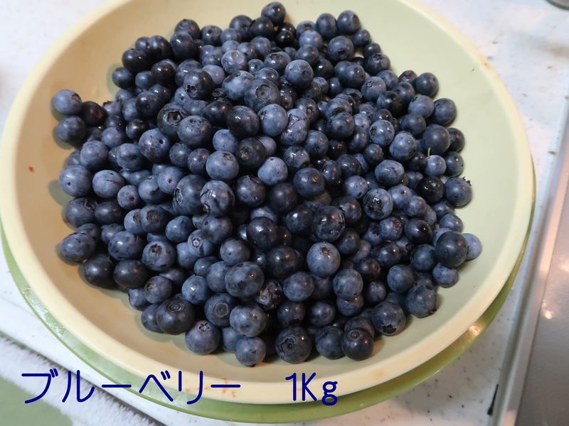 f0059498_21222617.jpg