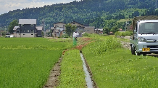 c0336902_21411147.jpg