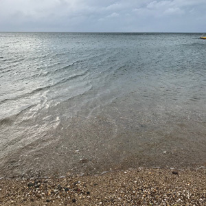 f0217905_22264421.jpg
