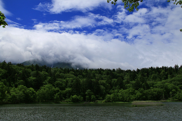 b0014607_21175339.jpg