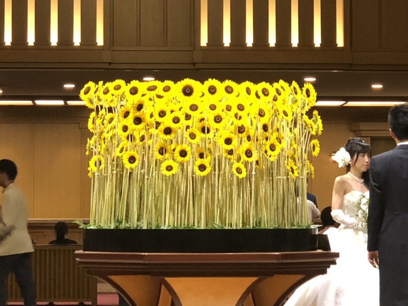 b0293908_05502110.jpeg