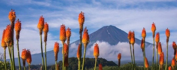 昨日の富士山_d0160611_06531720.jpg