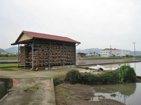 d0287413_921319.jpg