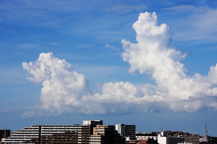 入道雲（積乱雲）の背比べ_b0268615_11265042.jpg