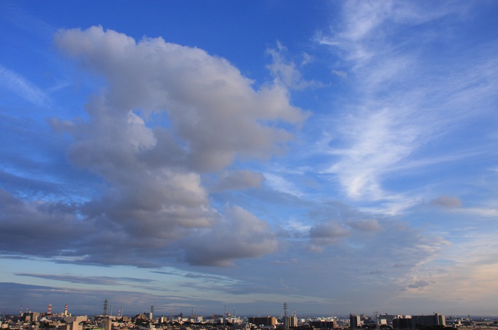 すじ雲（巻雲）と　わた雲（積雲）のコラボ_b0268615_11411832.jpg