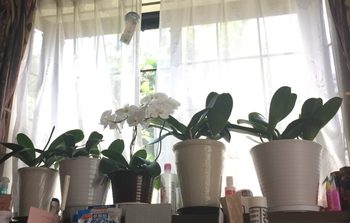 a0251116_12270752.jpeg