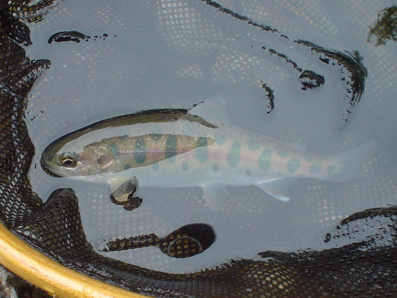 f0280717_12461475.jpg