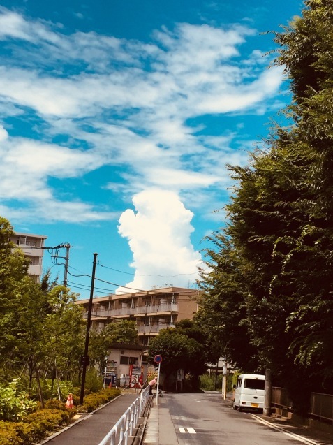 c0221732_21340706.jpeg